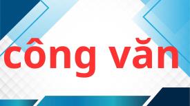 Công văn 3922/SGDĐT-HSSV 04/05/2026 về việc triển khai truyền thông hưởng ứng Ngày Thalassemia thế giới 08/5 trong các cơ sở giáo dục.